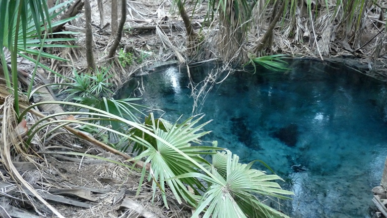 Rainbow Springs